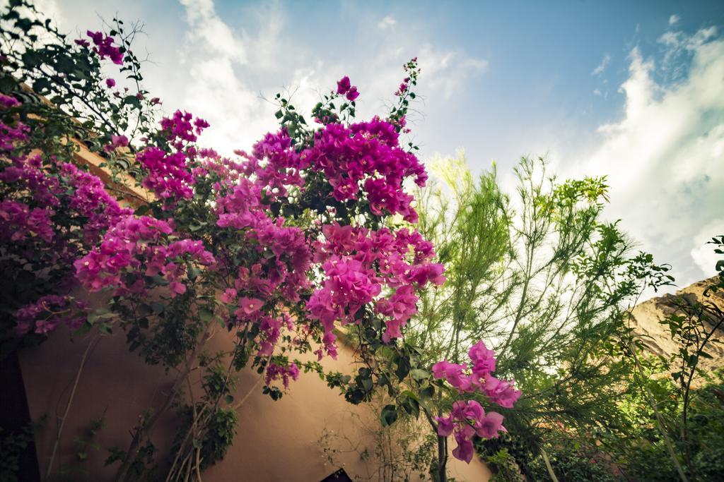 Fint La Terrasse Des Delices B&B 외부 사진
